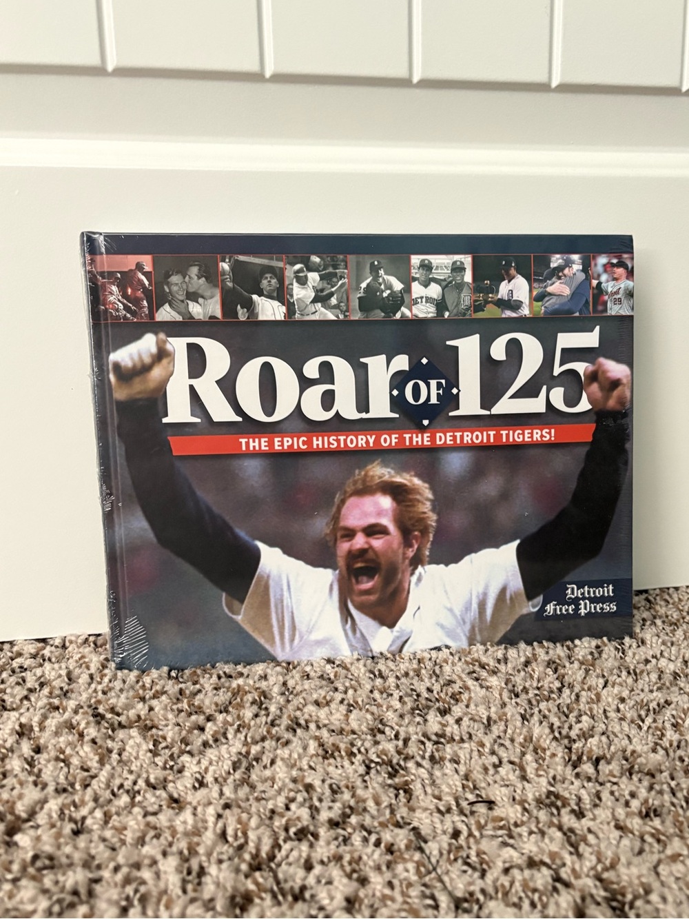 Detroit Tigers book